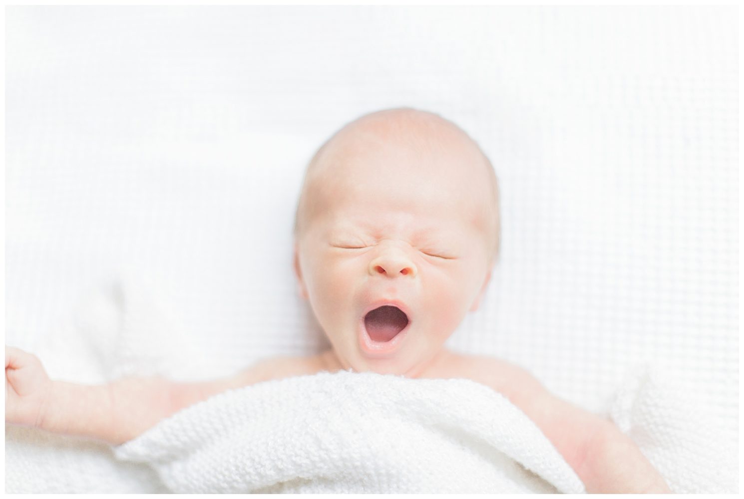Marie-Alice G-Photographe valognes cherbourg manche normandie - photographe nouveau ne bebe famille