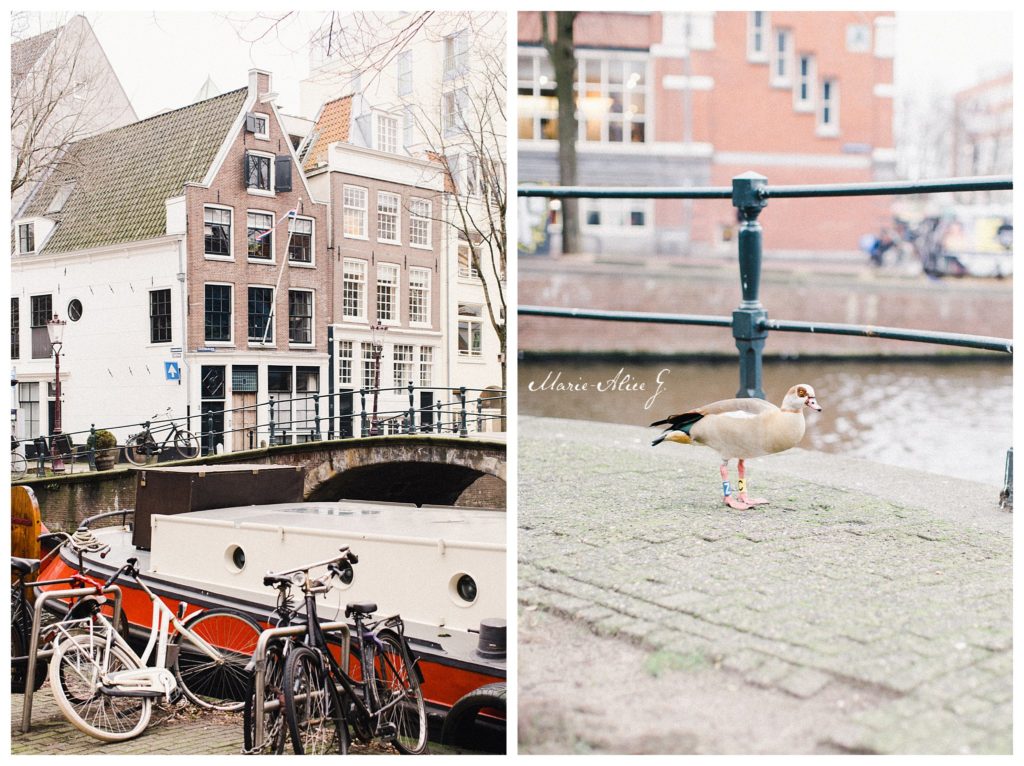 Amsterdam-Voyage-Travel-2019-Photographe