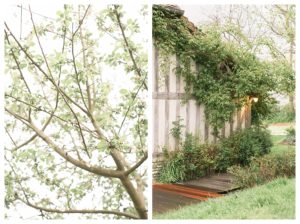 Photographe-Mariage-Champ-Delaunay-inspiration-Normandie-MarieAliceG