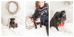 Photographe-Manche-Valognes-Cherbourg-Mini-Seance-Noel