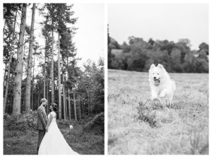 Photographe-Mariage-Manche-Calvados-Saint-Lo-Bois de Mingrey-MarieAliceG