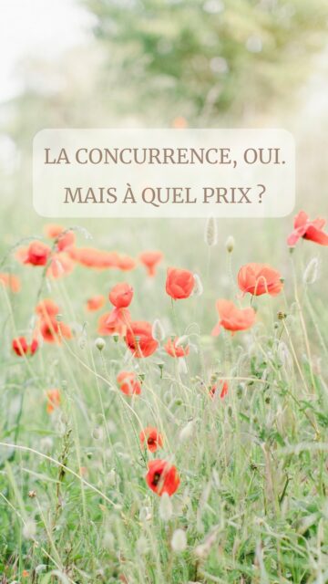 Petit message important que je voulais passer depuis quelques temps. 
Car je bous en ce moment quand je vois le nombre de personnes qui deviennent photographe, plus ou moins légalement, et qui ne sont pas formées. 

Photographes, s’il vous plait, formez vous. 

Familles, s’il vous plait, choisissez des vrai.e.s photographes formé.e.s. 

🙏