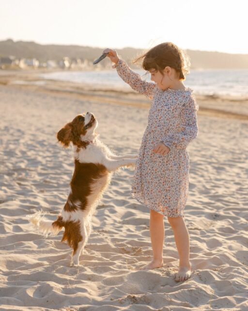 Il y a des séances qui touchent plus que d’autres. 🥹
L’été dernier, j’ai eu le plaisir de retrouver des mariés adorés et de rencontrer leur petite tribu. 🥰
Cette séance était à leur image : magique, douce, heureuse. 
Merci encore à vous pour ce moment suspendu dans le temps. ☺️